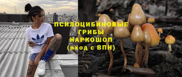 альфа пвп Белокуриха